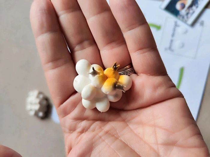 Kit cycle de vie d'un escargot Montessori - photo numéro 7