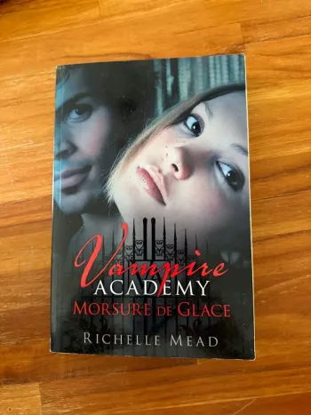 Livre vampire Academy, morsures de glace