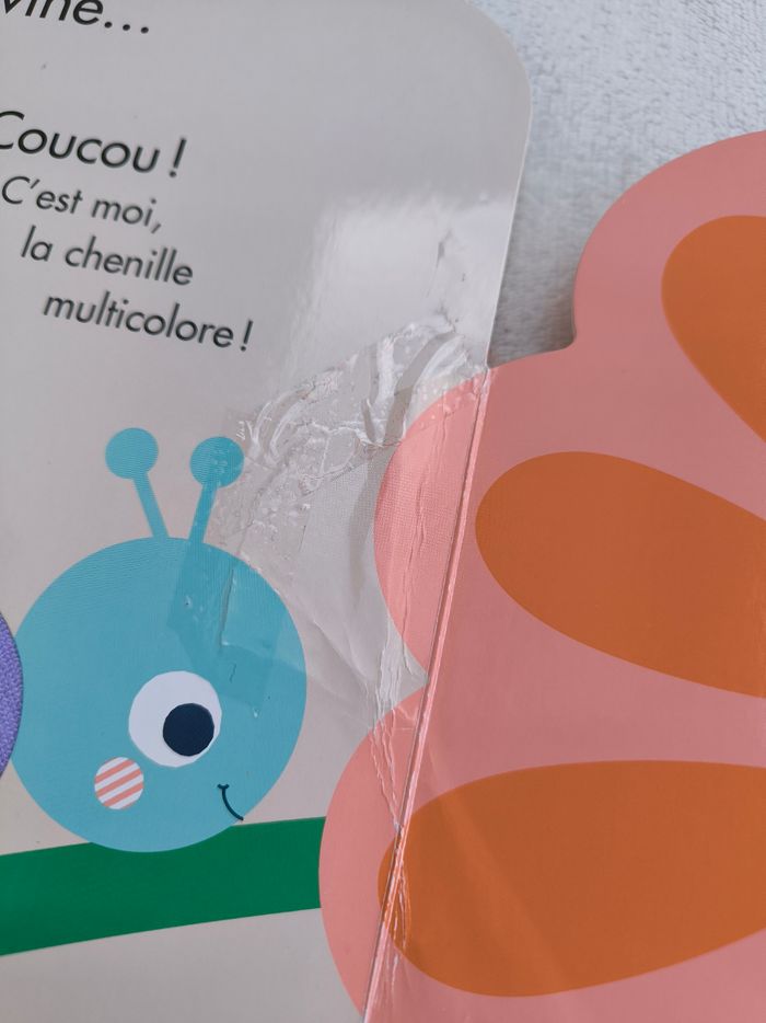 Livre Caché trouvé Larousse - photo numéro 7