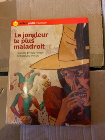 Livre le jongleur le plus maladroit