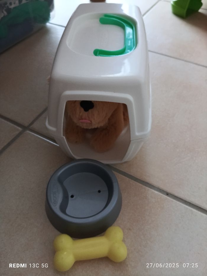 Chien et caisse de transport - photo numéro 3