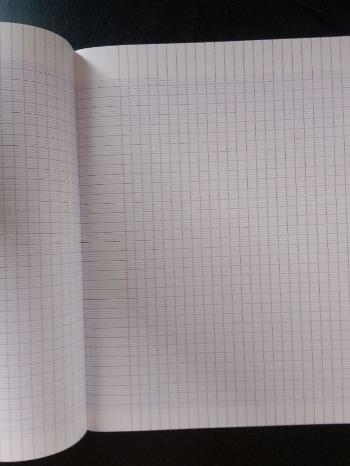 Cahier 24 x 32 - 48 pages - gris - grands carreaux - photo numéro 2