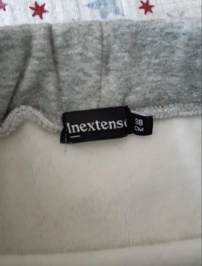 Pantalon gris épais dinosaures Inextenso 98cm - photo numéro 3