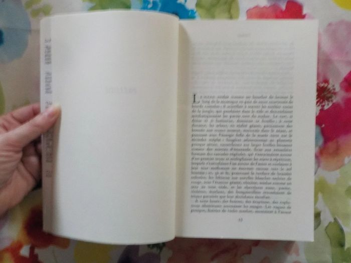 Eve de Guy Hocquenghem Ed. Albin Michel - photo numéro 4