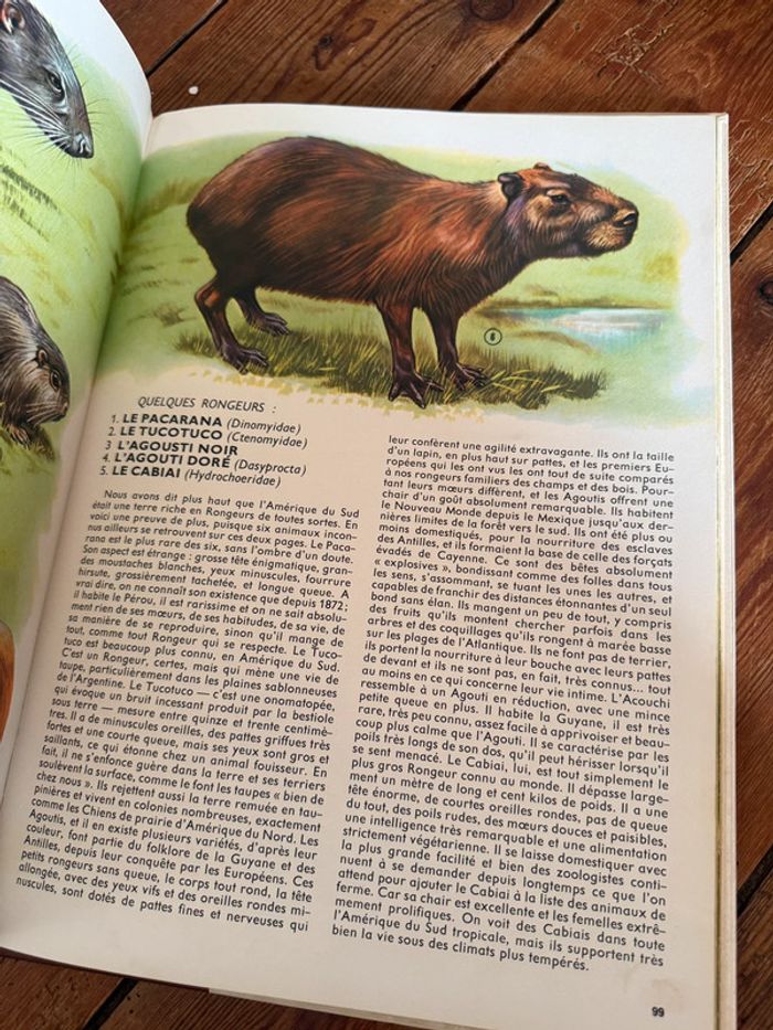 Lito Roby Grand livre illustrations Robert Dallet ancien vintage Faune du nouveau monde d’Amerique - photo numéro 7