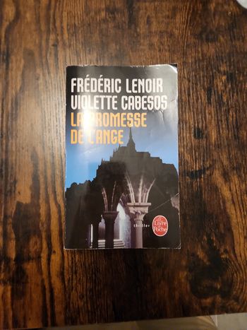 Livre : La promesse de l'ange