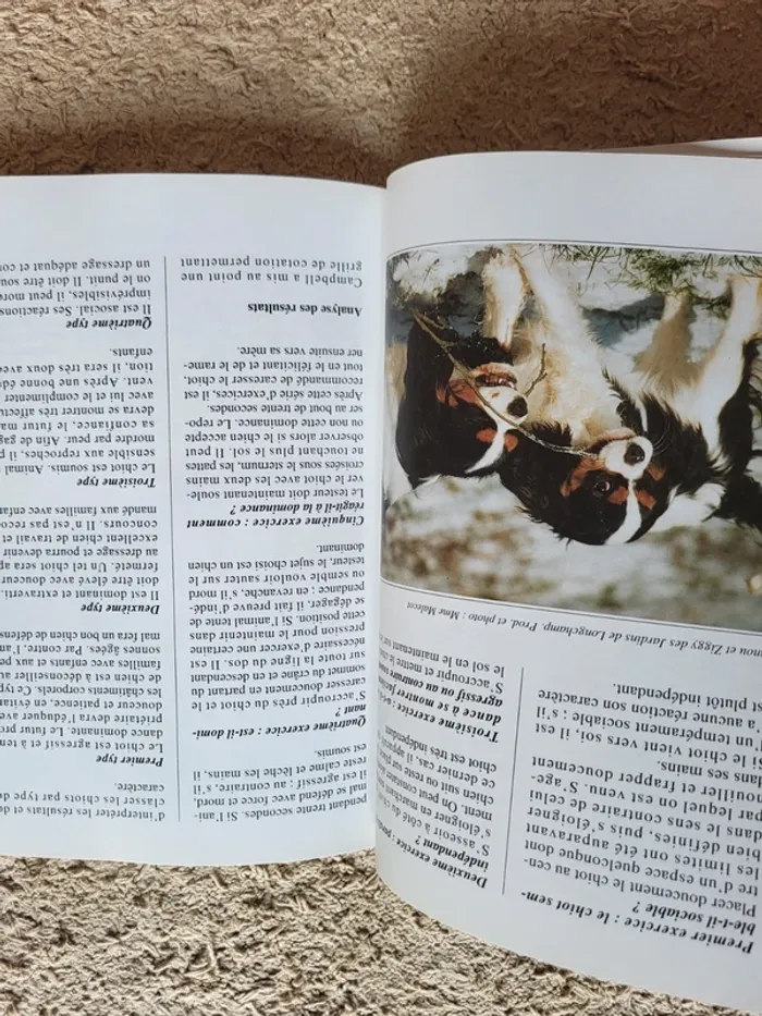 Livre chiens de race "Le cavalier King Charles" de Christian Limouzy - photo numéro 9