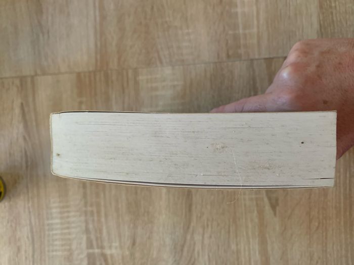 Le codex maya - photo numéro 4