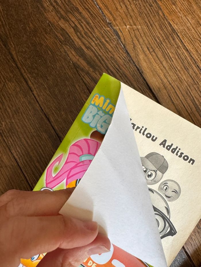 Lot 4 livres 8-10 ans - photo numéro 2