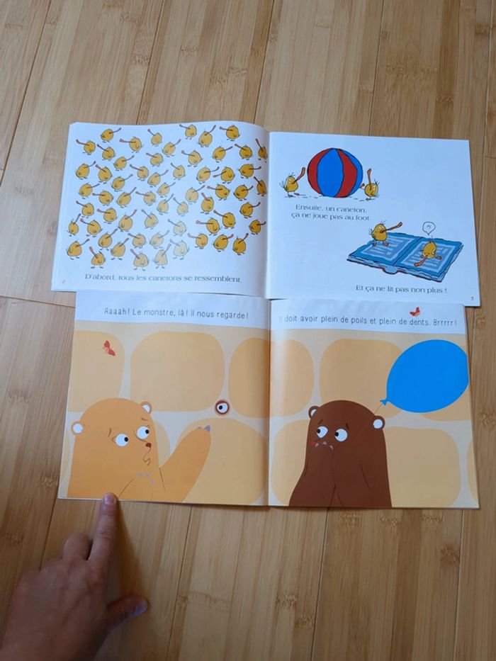 Lot 2 livres - photo numéro 4