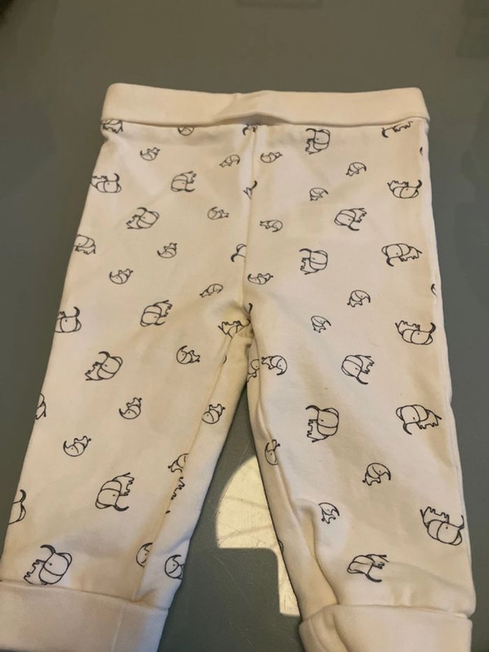 Pantalon éléphant - photo numéro 2