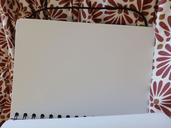 Cahier - photo numéro 5