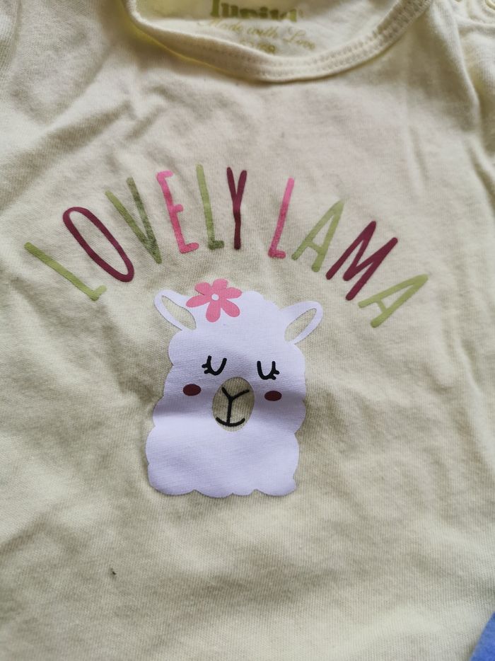 Lot de 2 tee shirts - photo numéro 4