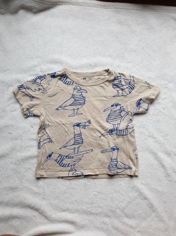Tshirt oiseaux marins