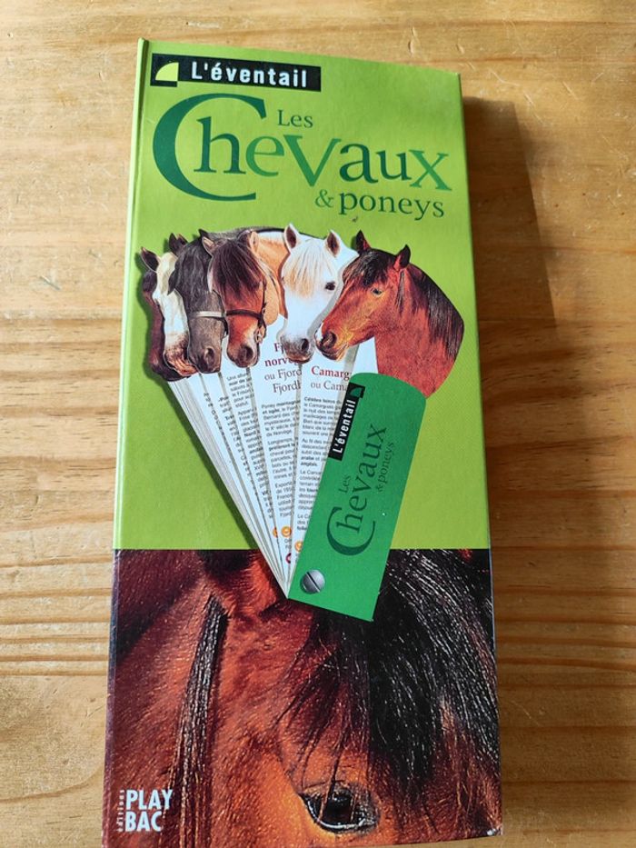 Les chevaux et poneys