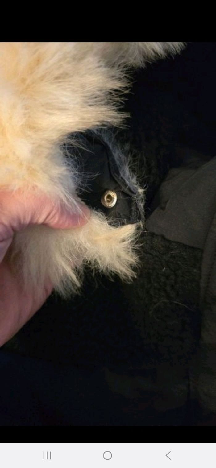 (Neuve non portée)🏷😍🥰 doudoune chaude 12 ans fille 😍🥰🩷 - photo numéro 7