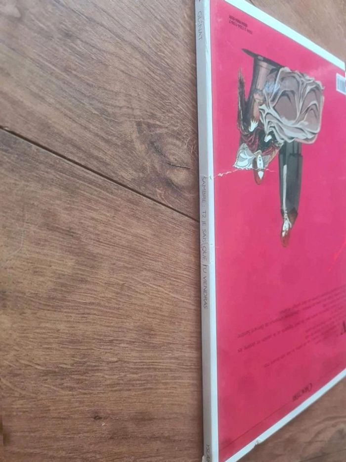 Bd sambre je sais que tu viendras - photo numéro 5