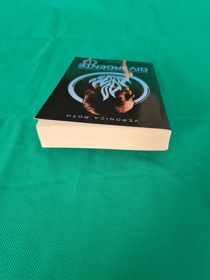 Divergente Tome 1 Veronica Roth - photo numéro 4