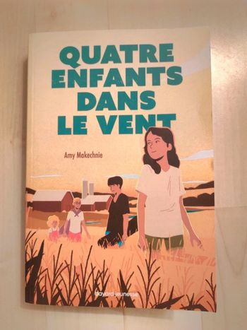 Roman jeunesse quatre enfants dans le vent