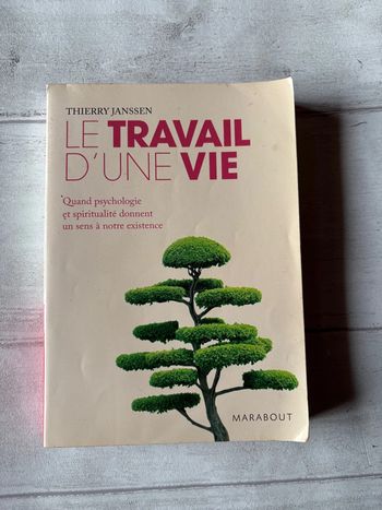 Le travail d une vie Thierry janssen
