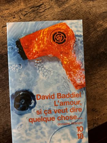 l’amour si ça veut dire quelque chose