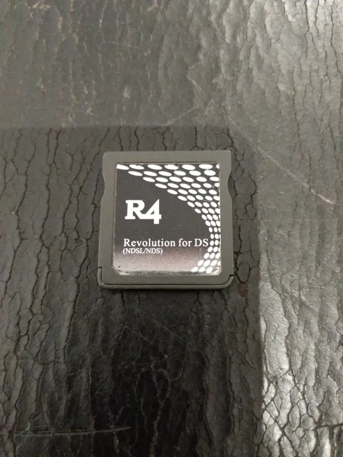 R4 pour Nintendo DS