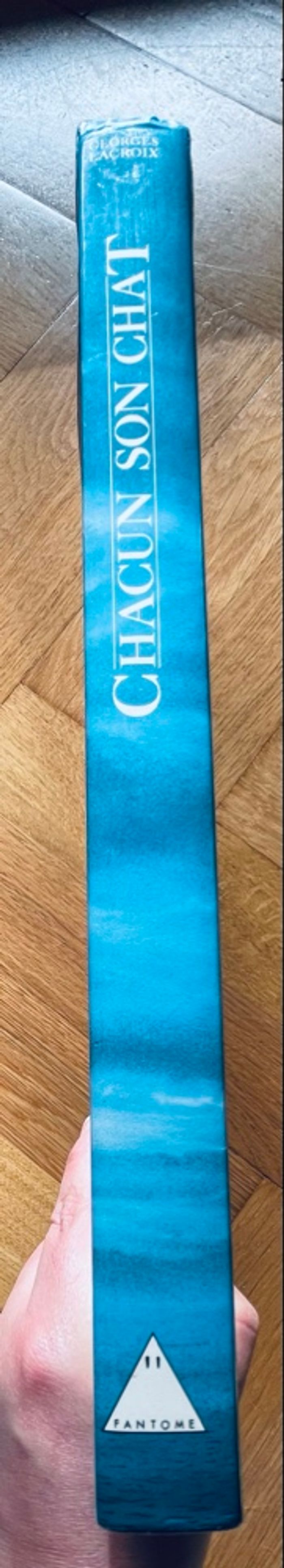 Chacun Son Chat - photo numéro 8