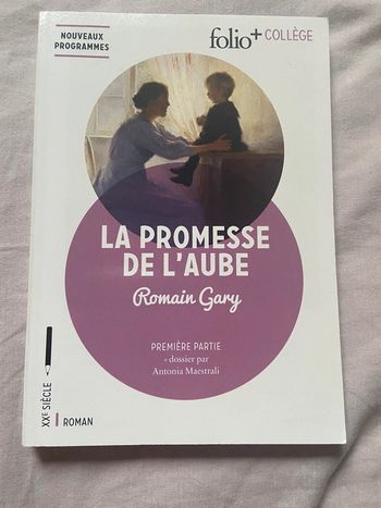 Livre la promesse de l’aube