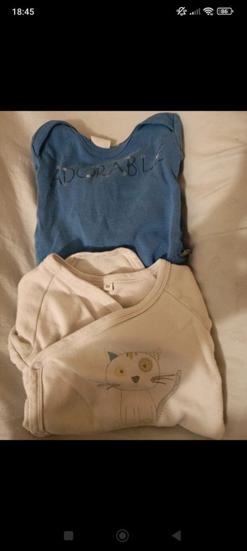Lot bodies 