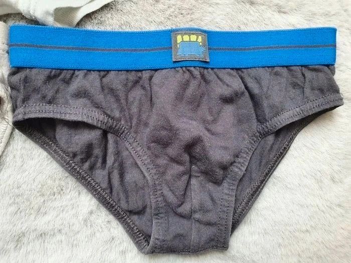 Lot de 4 slips et 1 caleçon diverses marques 2 - 3 ans - photo numéro 3