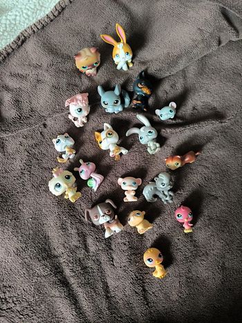 PetShop avec aimant