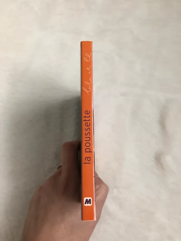 Livre cartonné Lulu et Lili - La poussette - photo numéro 3