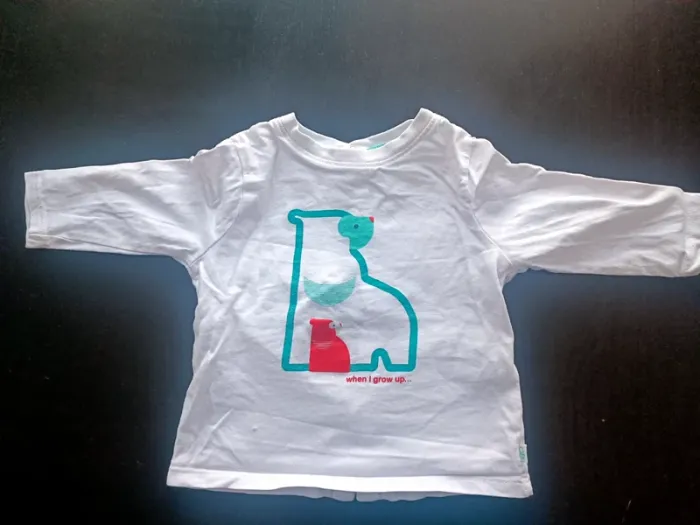 Lot 5 t shirt manches longues 6 mois - photo numéro 16