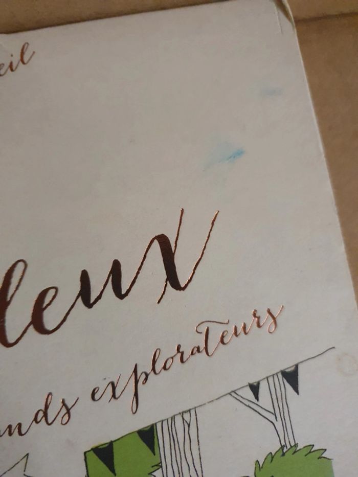 Coloriage "Pays merveilleux" - photo numéro 4