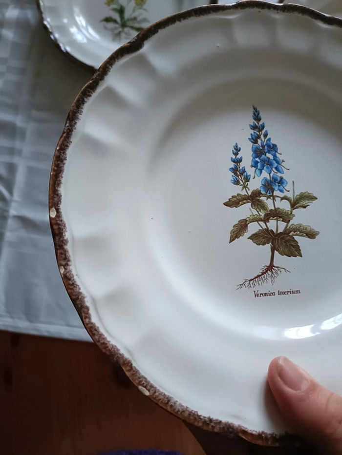 Lot de 8 assiettes vinteges herbes aromatiques - photo numéro 14