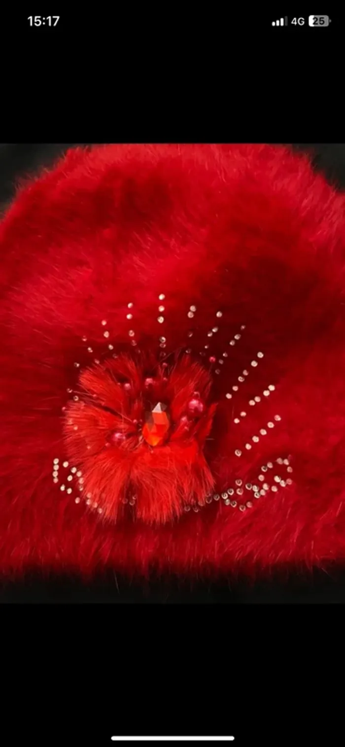 Bonnet rouge - photo numéro 2