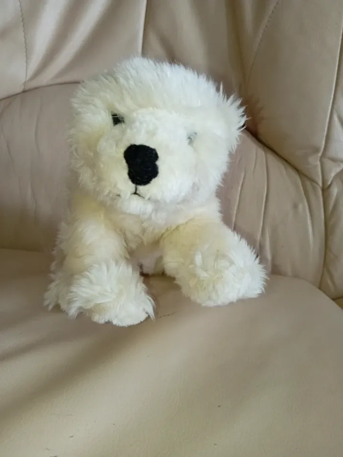 Petit ours blanc - photo numéro 2
