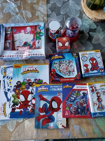 Lot activités Spider-Man 