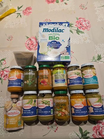 Lot purée baby bio et bledina