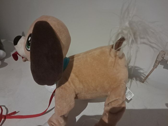 Chien - photo numéro 3