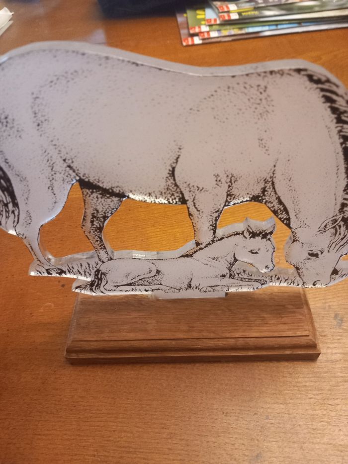 Décoration chevaux - photo numéro 4