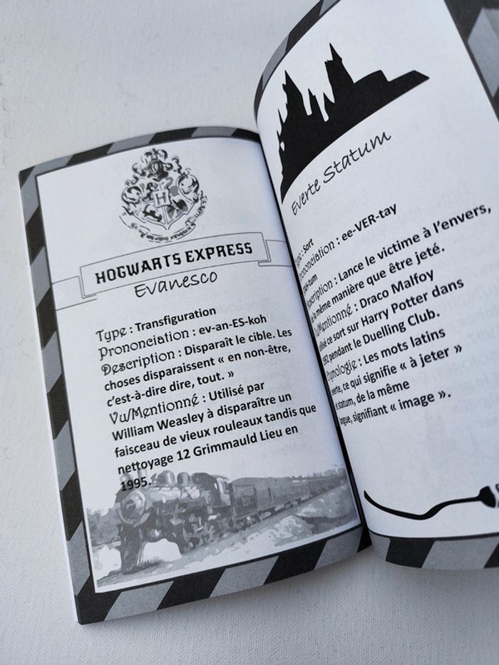 Harry Potter livre des sorts. - photo numéro 3