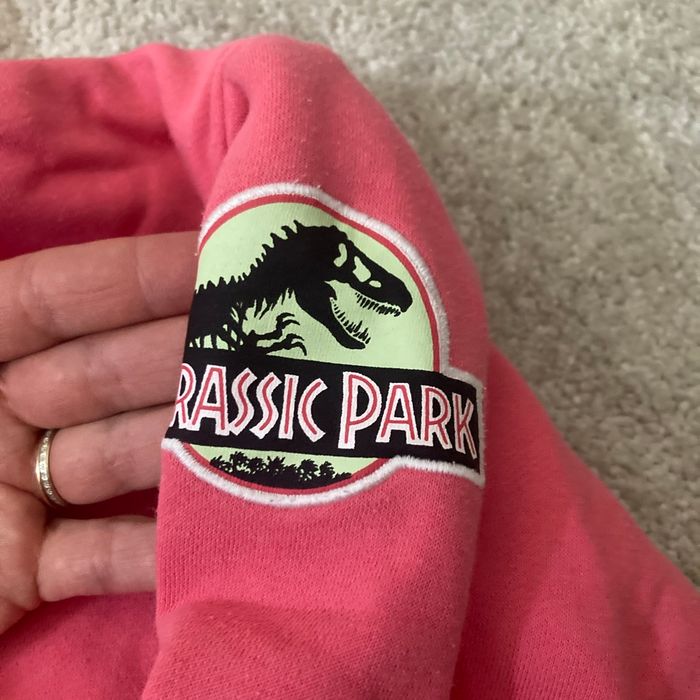 Pull 10 ans jurassic Wormser - photo numéro 2