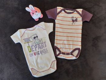 Lot bodies manches courtes 6 mois absorba