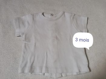 T shirt absorba 3 mois