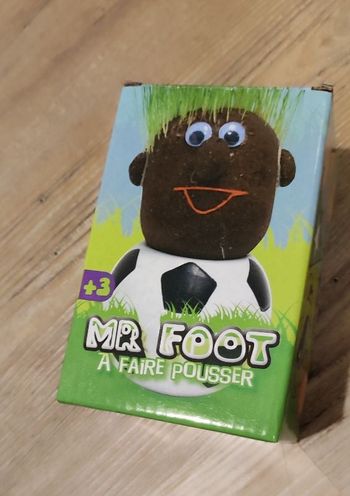 Mr Foot à faire pousser