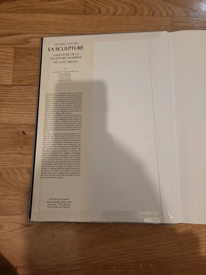 La sculpture l'aventure de la sculpture moderne XIX et XX e siècles - photo numéro 2
