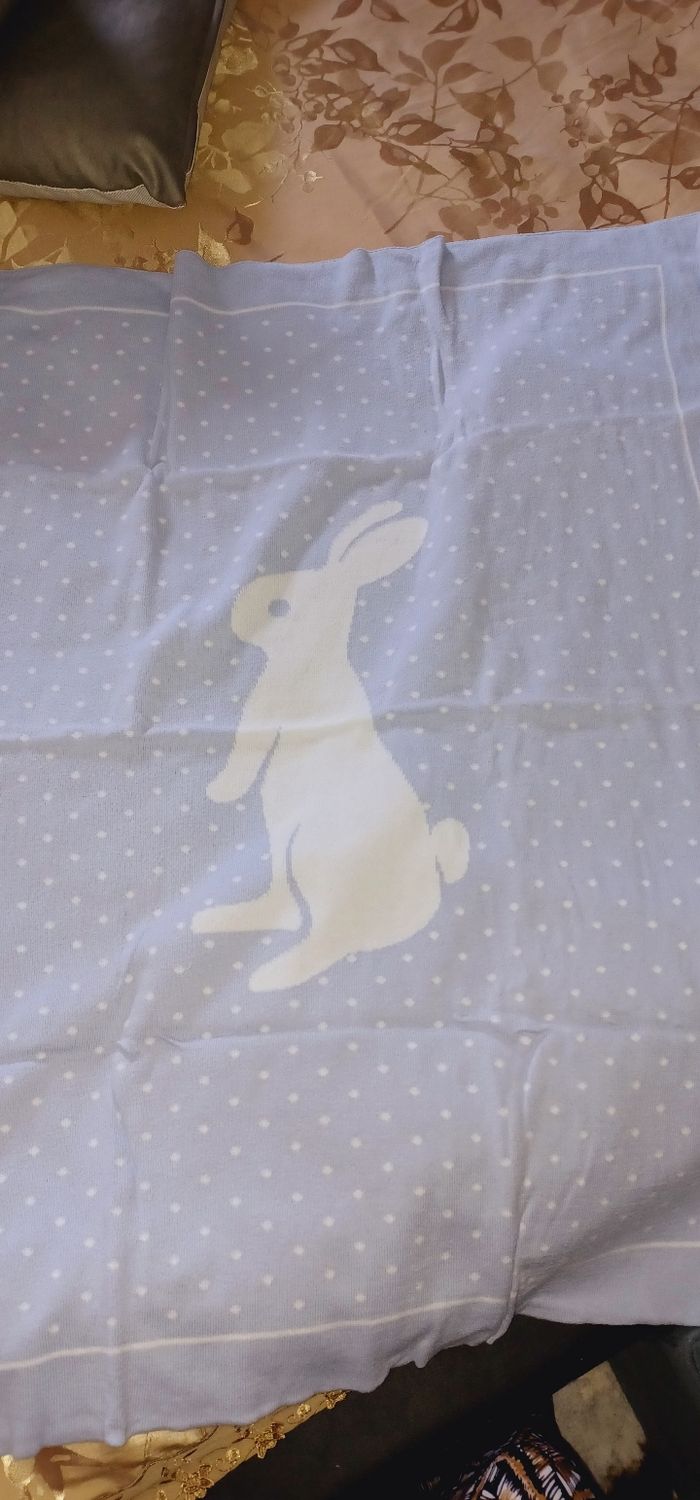 Lot 2 plaids bébé - photo numéro 3