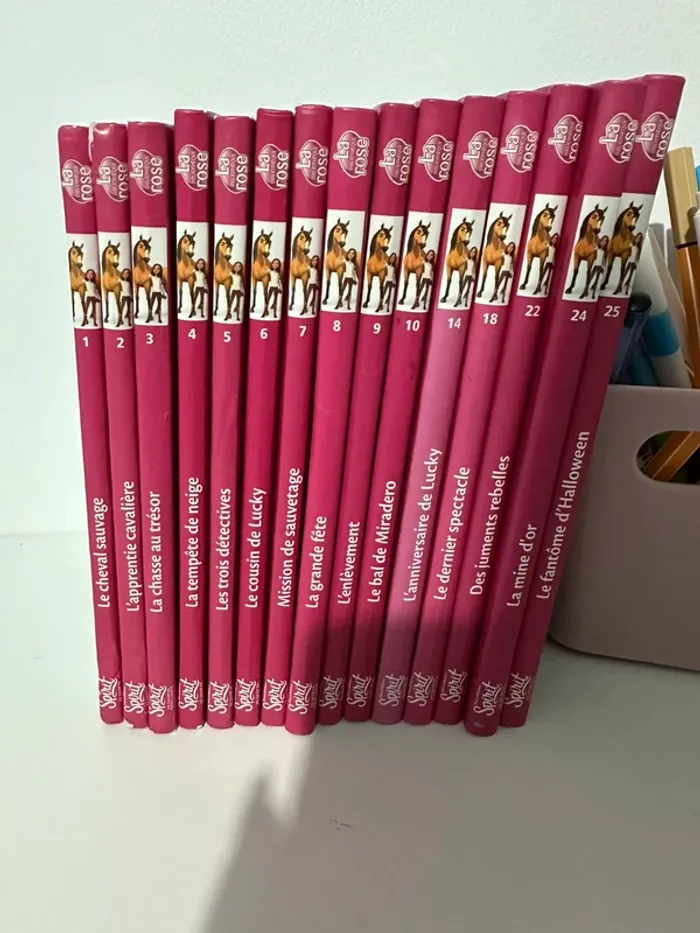 Livres Spirit - photo numéro 2
