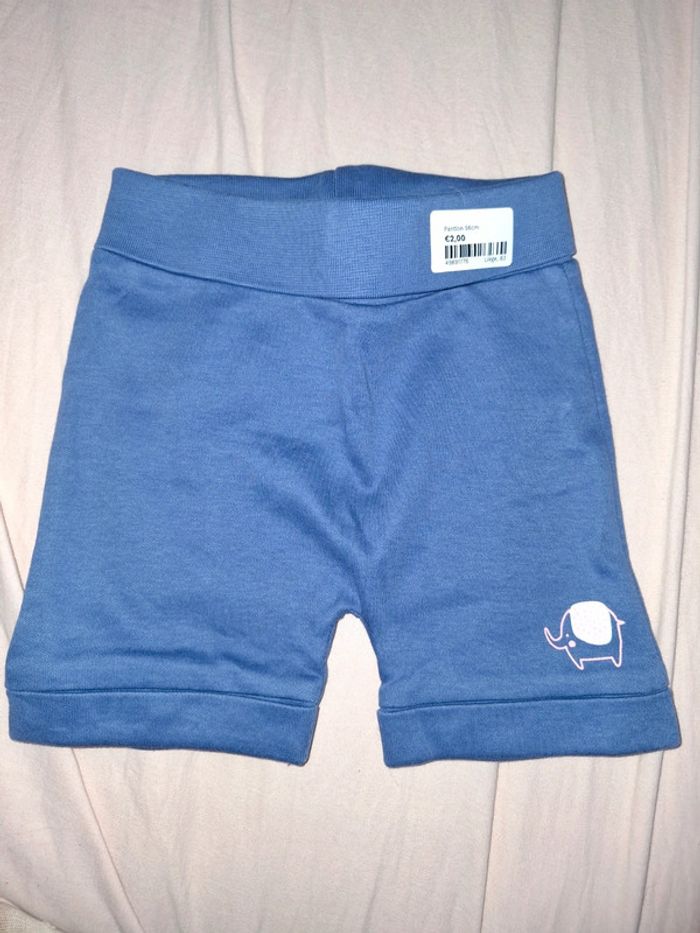 Short éléphant